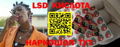 прущие грибы Бузулук
