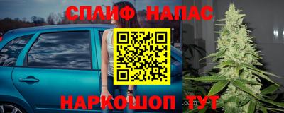хмурый Будённовск